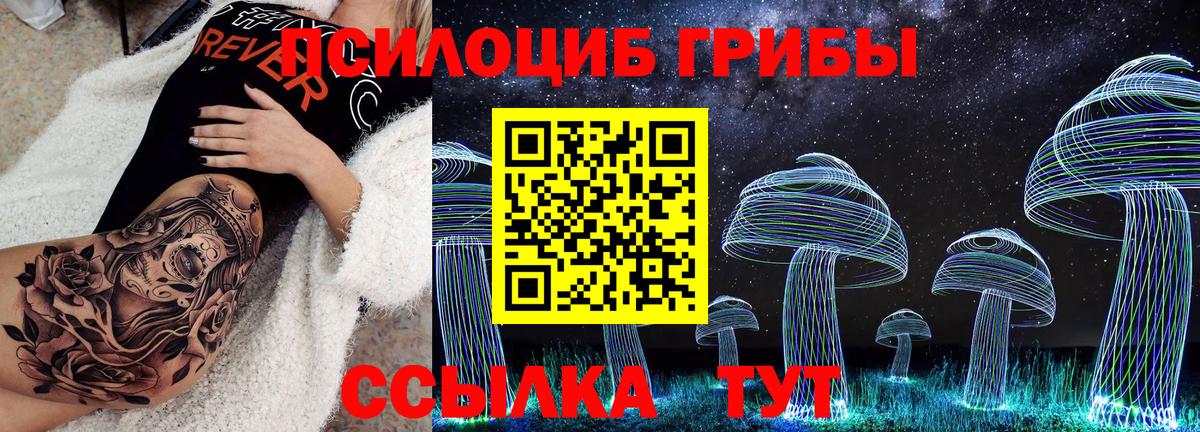 Галлюциногенные грибы GOLDEN TEACHER  даркнет сайт  Вход с VPN  Бор  Псилоцибиновые грибы Psilocybe 